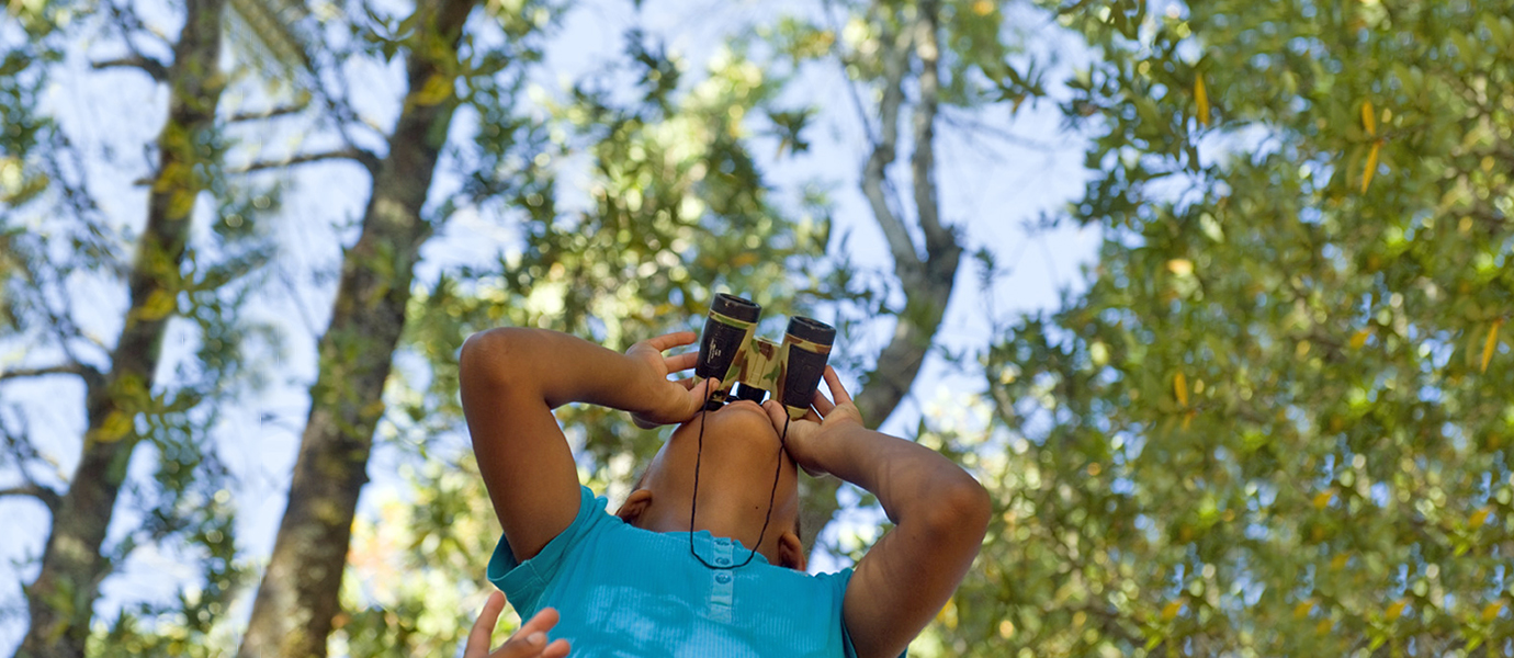 Child with binoculars looks up into the trees