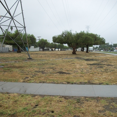 Jacaranda Park before development was an empty lot with a few trees and powerlines