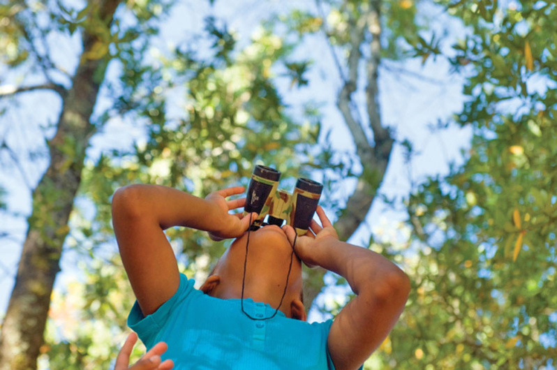 A young boy looks through binoculars up to the canopy of the forest