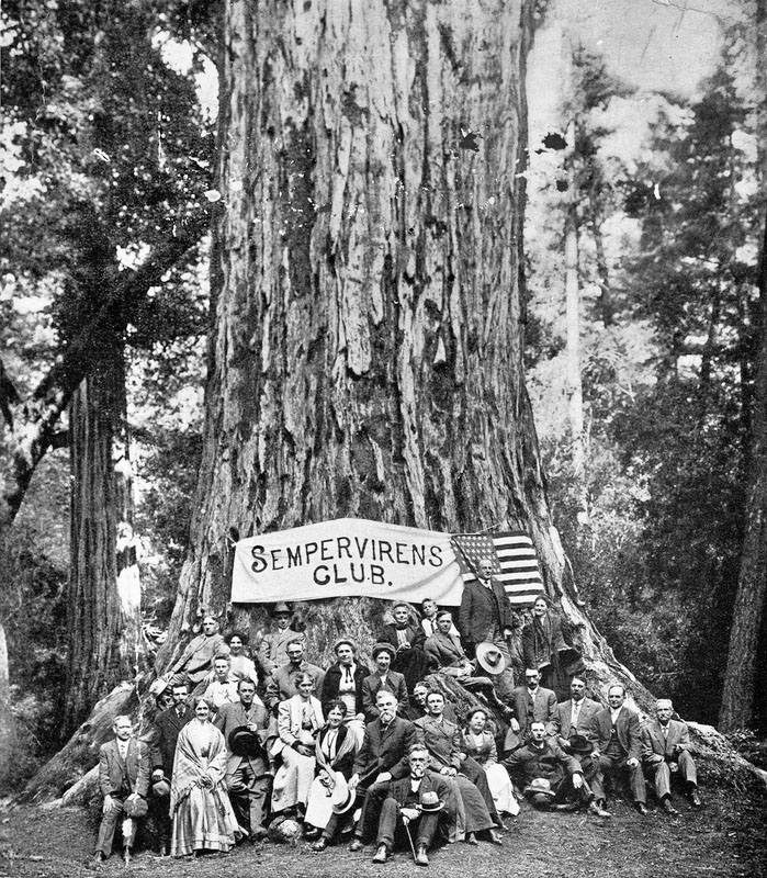 Black and white photo of the Sempervirens Club members posed in front of a giant redwood tree