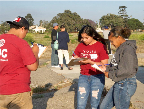 Three young adults in a grassy vacant lot holding clipboards and writing on papers