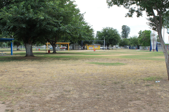 Grassy area with large trees and play structures in the distance.