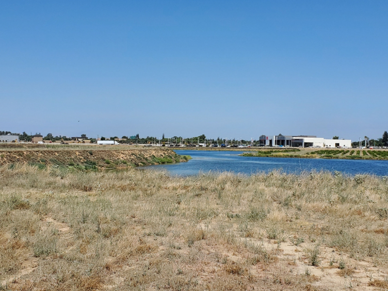 Grassy vacant lot near a pond.