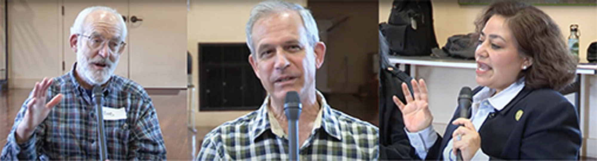 A triptych of three people speaking into microphones