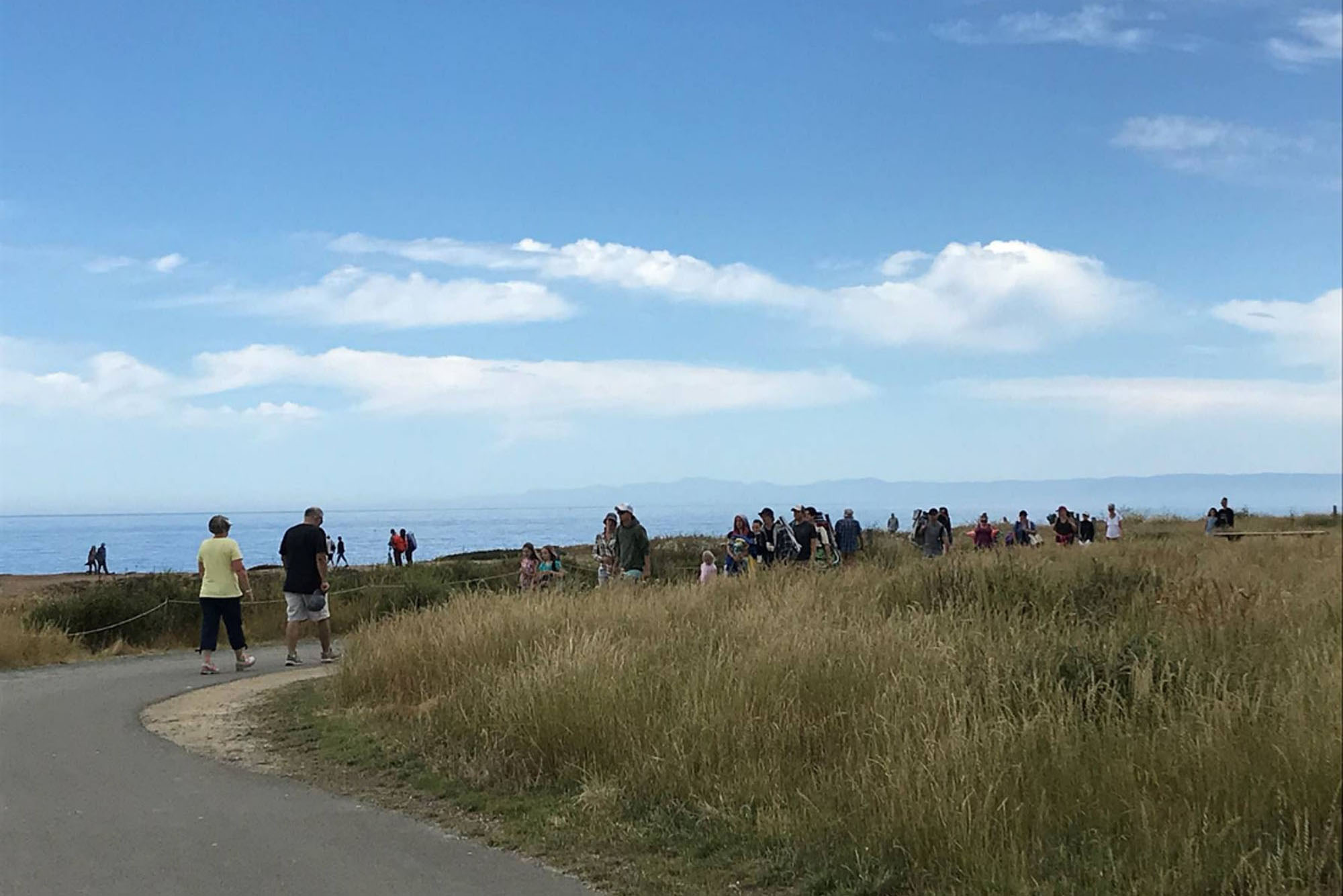 People walking above the rocky shoreline on a paved path surrounded by a tall grassy meadow