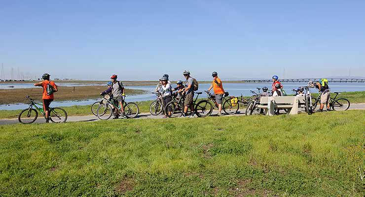 People bicycling on a paved path above baylands